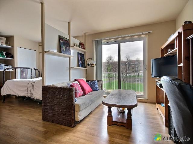 Condo à vendre Beauport 1 chambre 1 salle de bain #520419