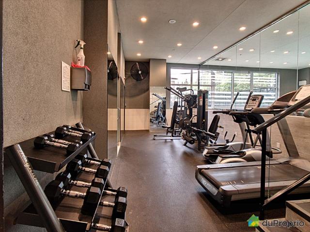 Condo à vendre LaSalle 2 chambres 1 salle de bain #969280