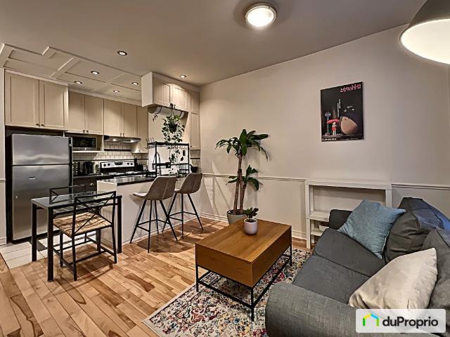 Condo à vendre Le Plateau Mont Royal 1 chambre 1 salle de bain #1097