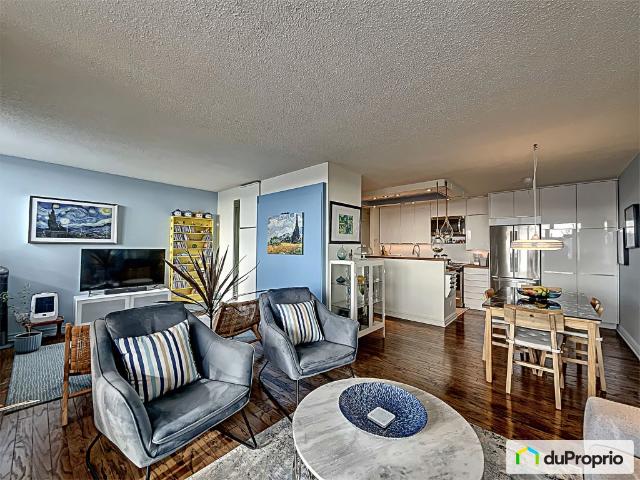 Condo à vendre Le Plateau Mont Royal 2 chambres 2 salles de bain #1094