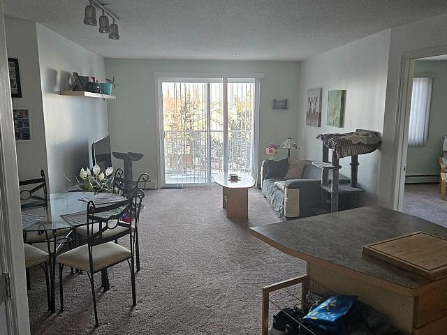 Condo For Rent