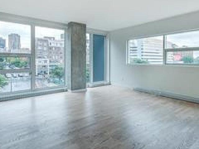 Condo Near Place Des Arts Metro, Mcgill University, China Town
