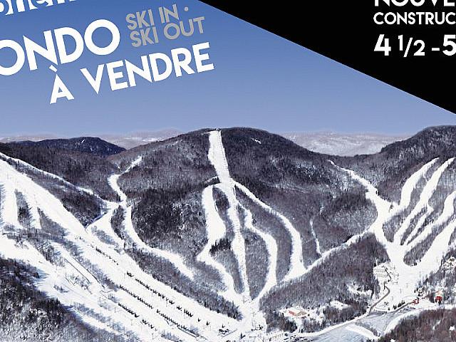 Condo Stoneham Ski 2023