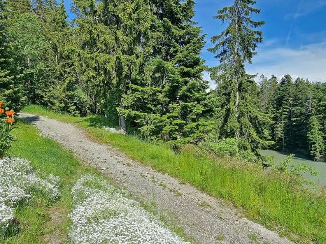 Condominium apartment with 2 rooms on sale in Crans Montana 54 m² | dreamo. Ch