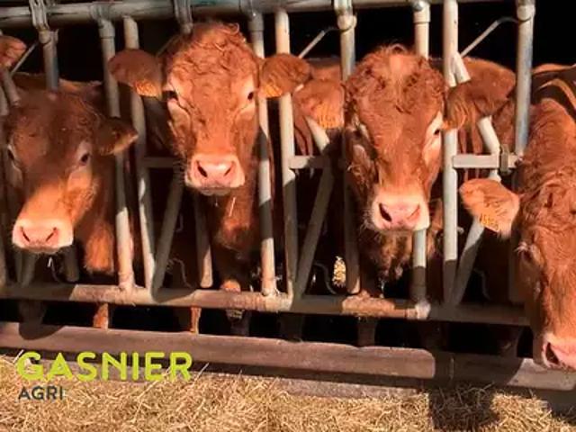 Confolens 16500 Achat / Vente divers au dernier étage