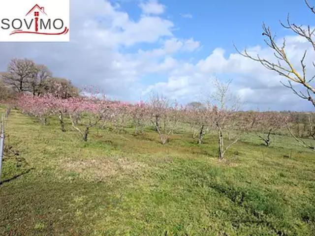 Confolens 16500 Achat / Vente terrain
