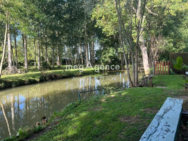 Congé sur Orne Vente Terrain 72