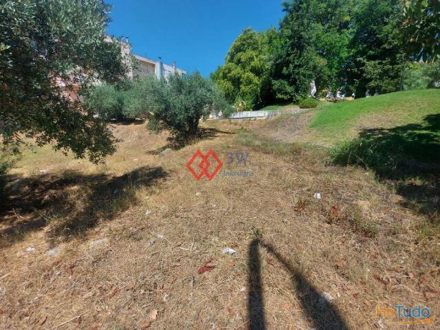 Conjunto 2 Lotes de Terreno Torres Novas | 26083359157