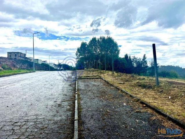Conjunto de 7 lotes, nas Minas do Pintor | 26083780175