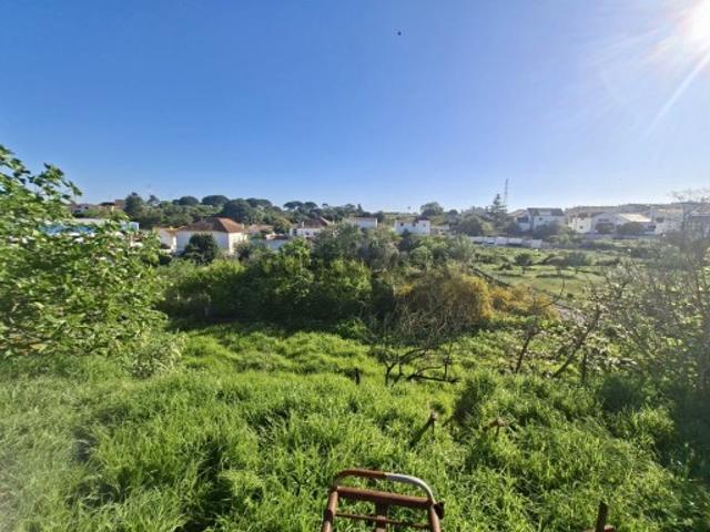 Conjunto de 2 terrenos | 920m2 | Excelente localização | Vale Fetal