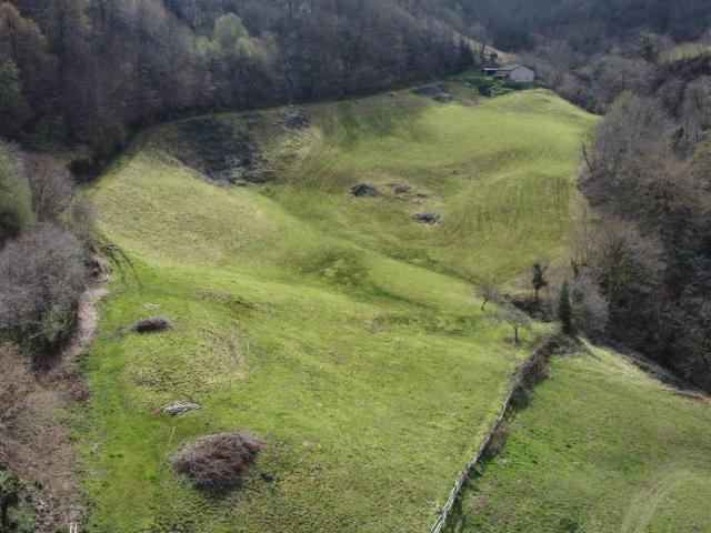 CONJUNTO DE CABAÑAS Y FINCAS EN RIOSA