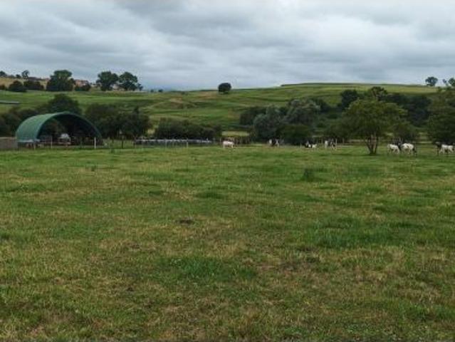 CONJUNTO DE DOS FINCAS EN CORTIGUERA SUANCES