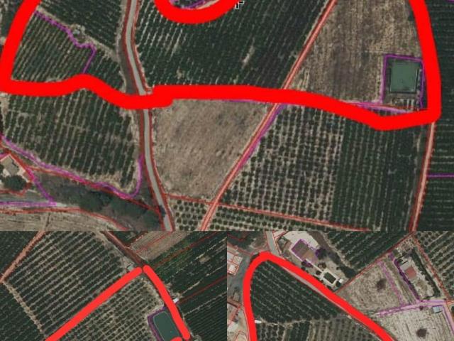 Conjunto de fincas agrícolas en venta en La Veredilla 50 tahúllas