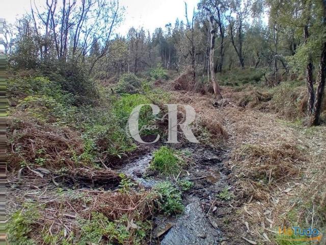 Conjunto de habitações em ruína com terreno e ribeiro em Figueiró dos Vinhos | 26083759734