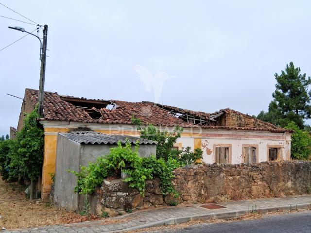 Conjunto de moradias em Ruína e terrenos em Penhascoso