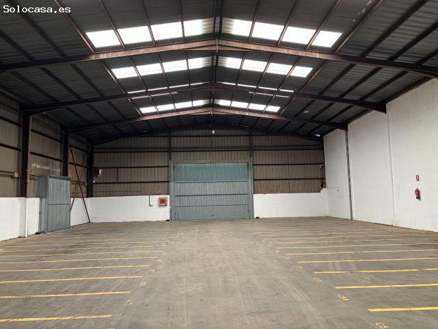 CONJUNTO DE NAVE + OFICINAS EN ALQUILER EN NULES