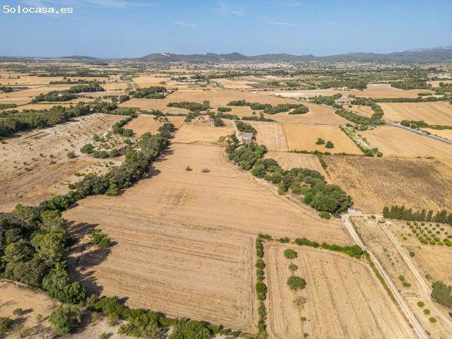Conjunto de parcelas rústicas en venta en Porreres Mallorca – Zona Son Mora