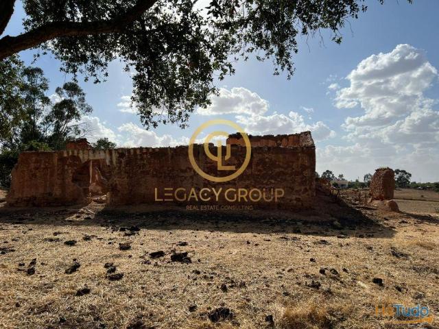 Conjunto de Propriedades em Serpa ? 32,750 Hectares | 26084019076