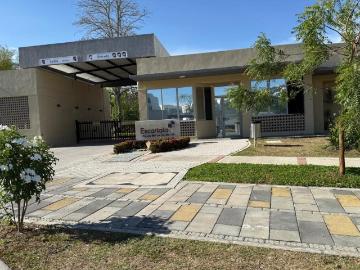 Conjunto Escarlata