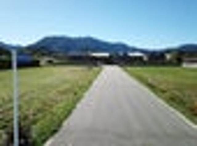 Consented plans included Vendor Says Sell!