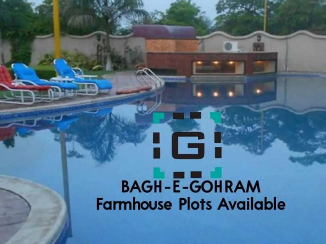 Constructed Cattle And FarmHouse Karachi Gulshan E Iqbal Block 10 ID 43544