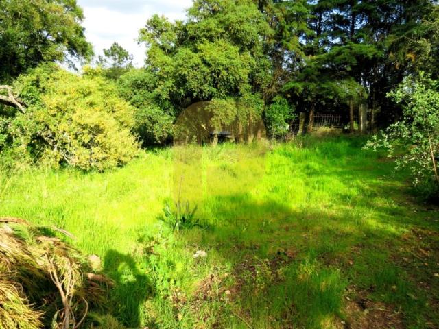 Construa uma Moradia Única | Lote Exclusivo 2750 m² com 900 m² de Construção Palmela