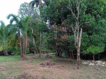 CONSTRUYE CASA DE TUS SUEÑOS EN TROPICAL PLACE, SORTOVA CHIRIQUÍ