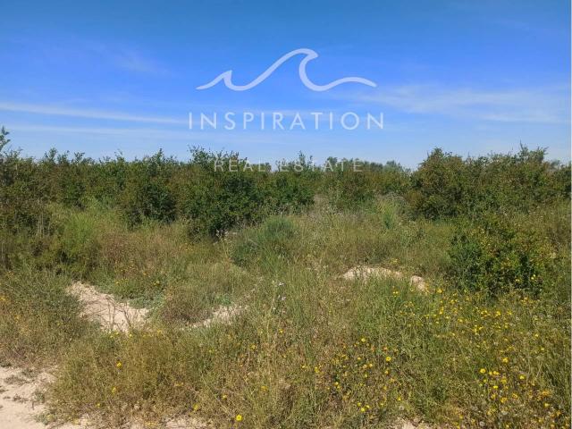 ¡Construye tu sueño! Parcela de 13.692 m² en La Baia Baja, Elche
