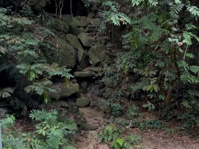 COOL OASIS BY THE CREEK@MEN INDAH
