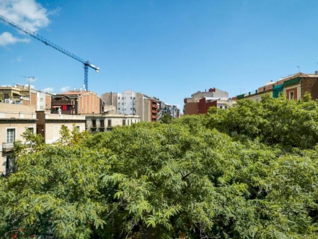Cool double bedroom in a 5 bedroom apartment near El Clot Aragó train station