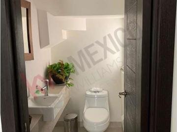 Coahuila, Circuito Ciervo, Torreón