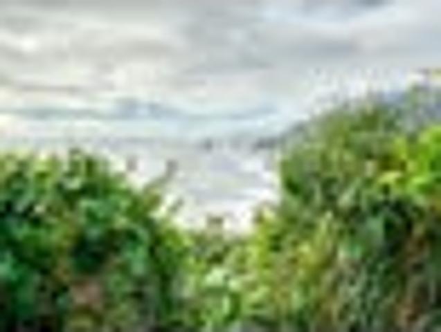 Coast Road Retreat