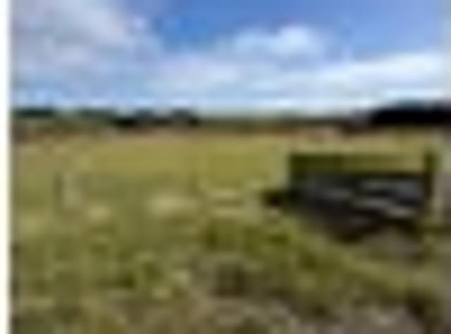 Coastal lifestyle block – views, power, fenced