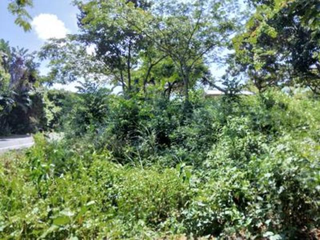 coastal vacant land for sale