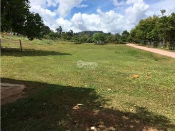 Cocle / penonome / 146 hectareas / finca ganadera / rios / quebradas