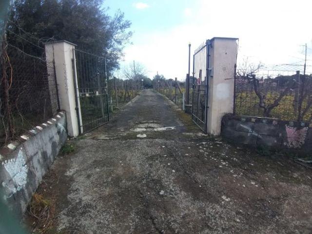 CODICE 6930 VILLA SINGOLA 260 MQ CON 4.870 MQ DI TERRENO A BELPASSO