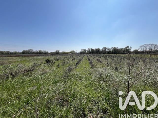 Codolet Vente Terrain 30