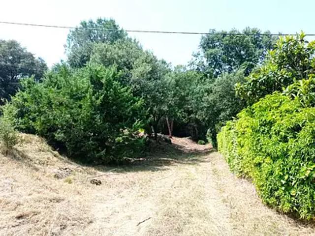Codolet 30200 Achat / Vente terrain