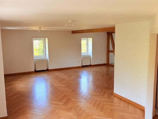 Coeur Orangerie dans Maison de Maîtres Appartement d'exception