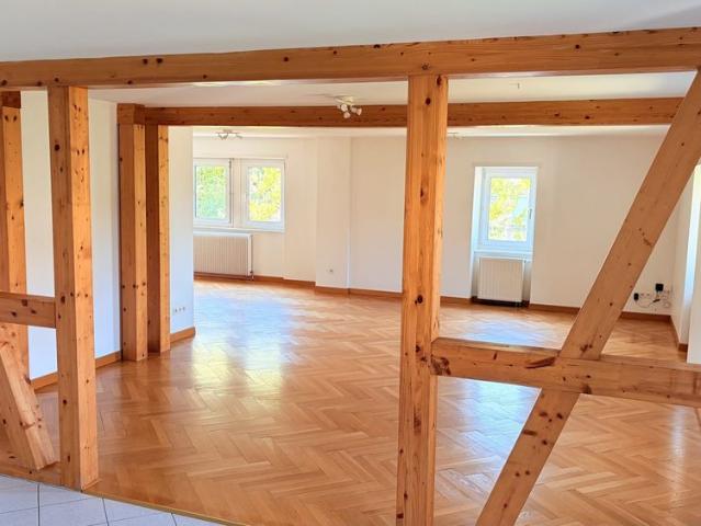 Coeur Orangerie dans Maison de Maîtres Appartement d'exception