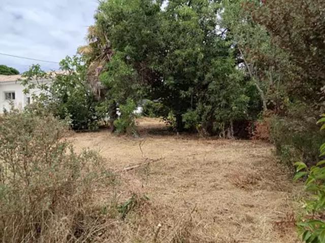 Cognac 16100 Achat / Vente terrain