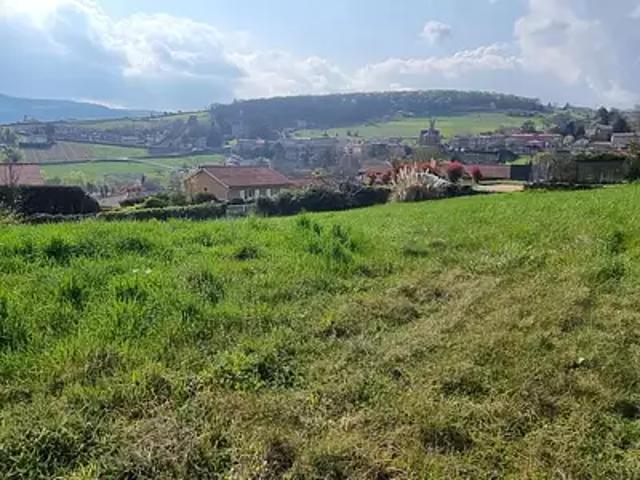 Cogny 69640 Achat / Vente terrain