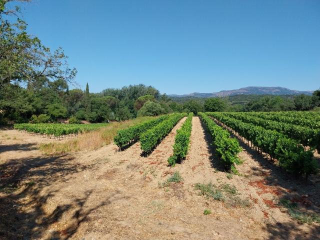 Cogolin Vente Terrain 83