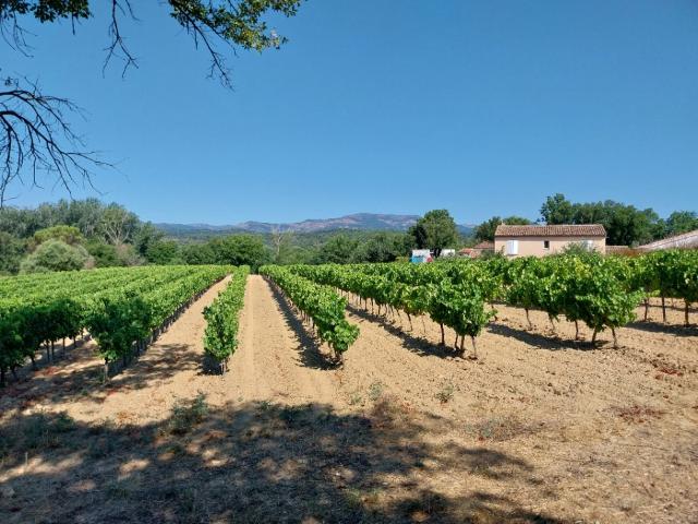 Cogolin Vente Terrain 83