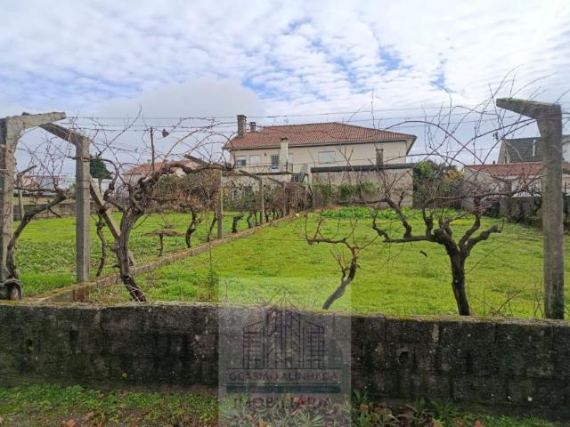 Coimbra Oliveira do Hospital 3400 98384215