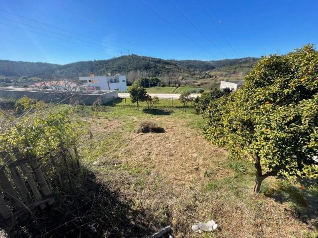 Coimbra Coimbra 104698081