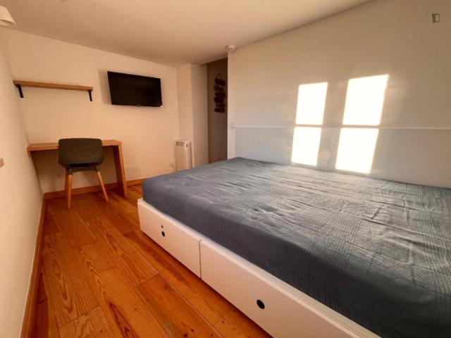Coimbra Coimbra 104955490