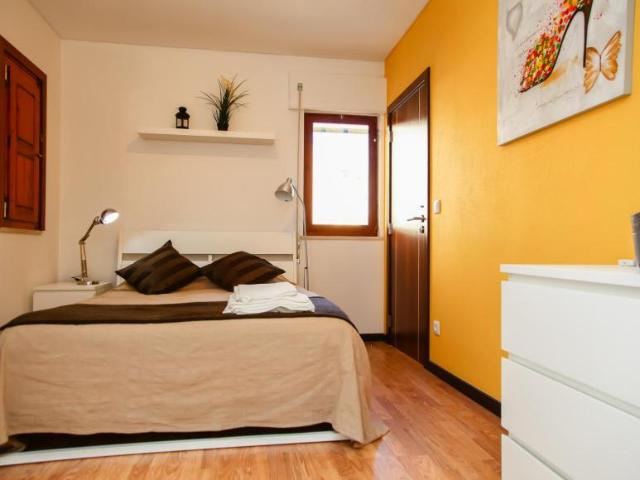 Coimbra Coimbra 104955551