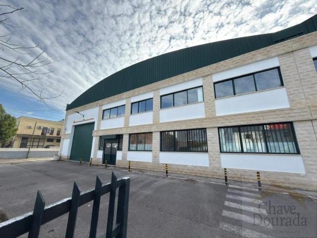 Coimbra Coimbra 100218995