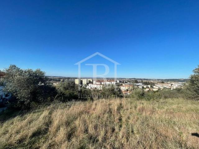 Coimbra Coimbra 101635825